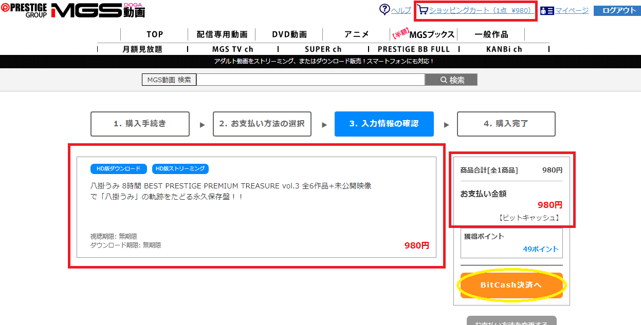 MSG動画をビットキャッシュで購入手順8